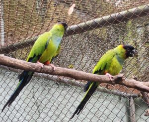 Parque Ecológico