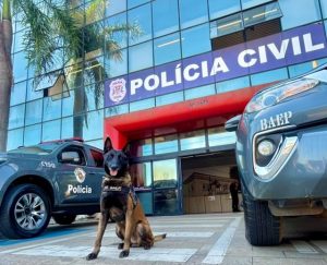 Cão do Baep