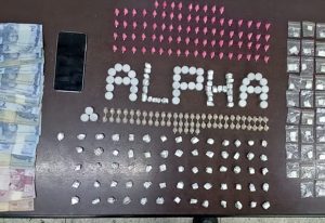 aposentada