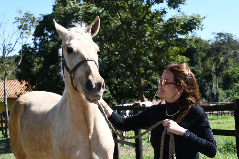 Crianças em processo de adoção contam com Terapia Assistida por Animais