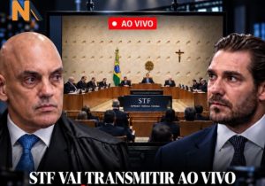 stf