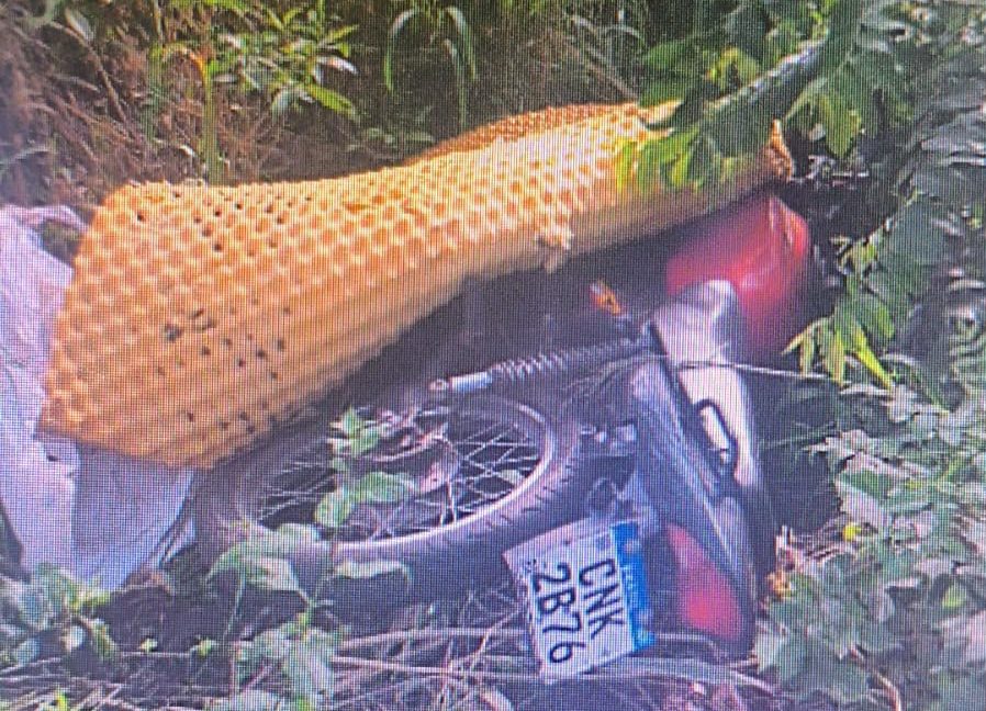 Gama localiza motocicleta furtada na Av. São Jerônimo