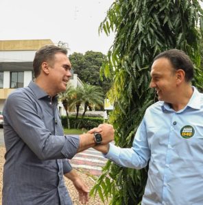 Vice-governador